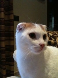 Manuel Ramirez borrego