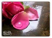 Shams Ahmed