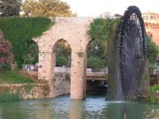 محمود سليمان