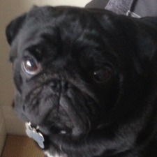 Adele.hickeyntlworld.com