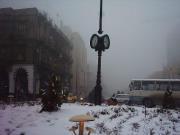 نفيت واستوطن