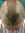 Ray Sel...