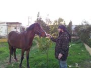 ابوعبدالرحمن هلال