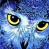 Ceil