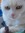 Ownedbycats | 2 comments