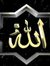Huda Samy