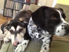 Mary Kellerman DesCombaz