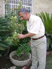 Msafr Al yasire
