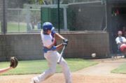 Alex Agrawal