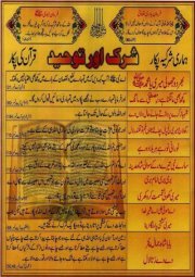 Tahir Shakeel