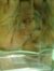 Nikitha...
