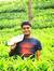 Deepu D...