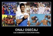 Trif Dragan daniel