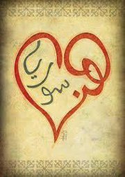 Noor Abo rashed