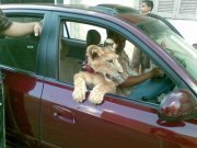 خالد اغنيوه