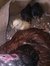 Syed Imad