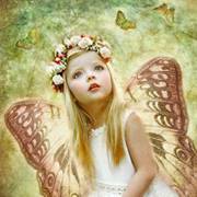 طائر بلا قيود