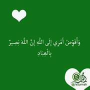 Mohamed Soliman
