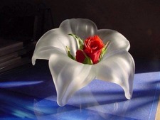 Anup