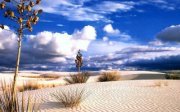 Drabdo Mohamad