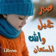 Mahmoud Elkafass
