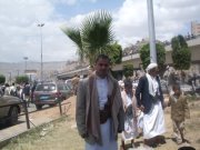 حمير المنتصر