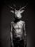 Dawid