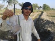 Syed Mazhar