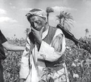 Fayed Sammak