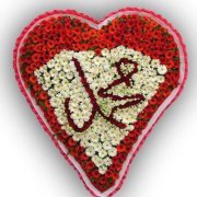 Shazia Abid
