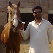 Kashif Fraz