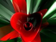 Nasselkhir Souk ahras