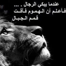 السريعي الفهد العربي