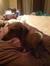 Samantha Kimsey