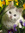 Lyn | 1 comments