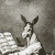 David Bramhoff