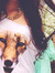 Disha