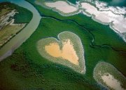 హేమంత్ కుమార్