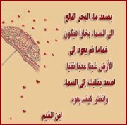 الغامدي أبو أسامة