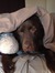 Phillip