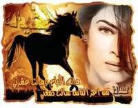 فياض بن مخاشن