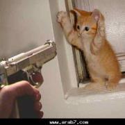 Shorouk Ashraf