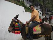 Sivakumar Mohan