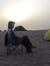 Lis Fatma