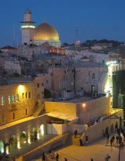 زهرة المدائن