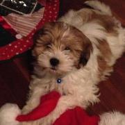 Danielle Duval-conway