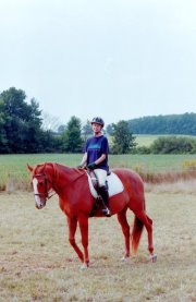 Sherry Elmer