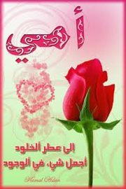 محمد الطيب موسى الجابرابى