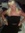 Lynne Taws