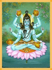 Dhaval Dhrangadhariya